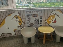 -有喵·猫咖·狗咖·30几只猫10只小狗(岗厦店)