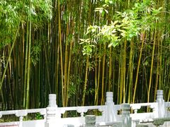 -潭柘寺景区