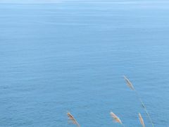 -小梅沙海滨乐园