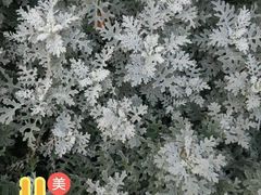 -武清南湖绿博园