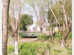 -尚贤河湿地
