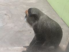 -石家庄市动物园