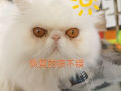 -达爱动物医院·犬猫分区·CT·复杂眼科(远洋山水分院)
