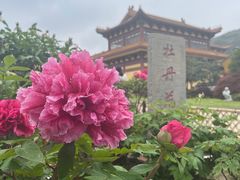 -灵山胜境