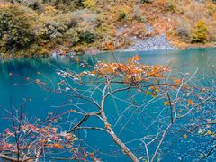 -叠溪松坪沟景区