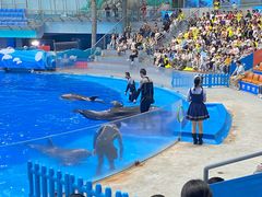 -海合安成都极地海洋公园