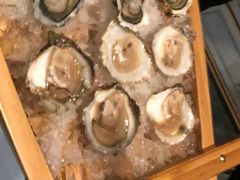 -HIHE Bistro·Oyster Bar(华熙live店)