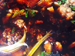 -温江公平红烧兔(总店)