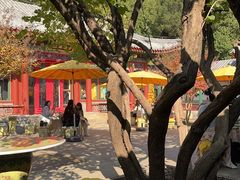 -宫事颐庭·老佛爷贵寿下午茶(颐和园店)