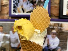-Gelateria Dondoli