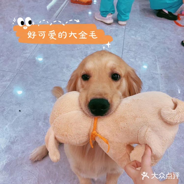 一家有温度的宠物医院🐈欣宠宠物🦮