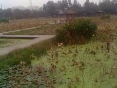 -三圣花乡旅游区