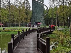 -黄海国家森林公园