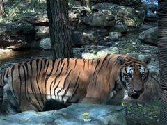 -北京野生动物园