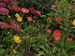 -人民公园(罗湖区)