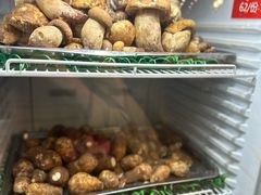 -太婆天府山珍酒楼(亚运村店)