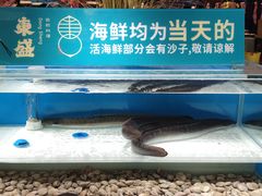 -東盛炭烤自助料理(玄武招商花园城店)