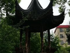 -上海财经大学-绿叶食堂
