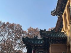 -灵谷景区