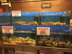 -真浪花园海鲜餐馆