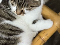 -铜瓢江湖兔火锅(水碾河社区店)