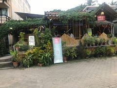 -Jungle Kitchen