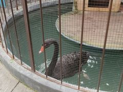 -洛阳龙门海洋馆