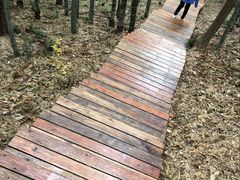 -南京市无想山景区