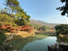 -宝岩生态观光园