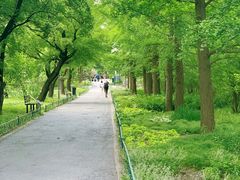 -国家植物园南园