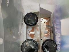 -813芭依珊 BAESAn(皇冠十畝地店)