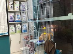 -嘉宠动物医院