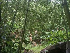 -竹泉村旅游度假区
