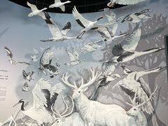 -中国湿地博物馆