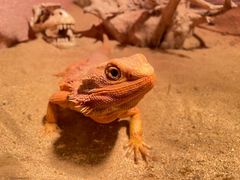 -多彩贵州城极地海洋世界