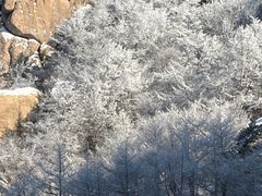 -崂山巨峰游览区