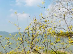 -上海市保健医疗中心