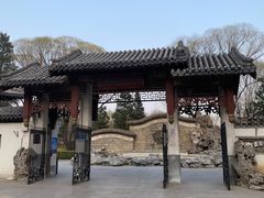 -团结湖公园