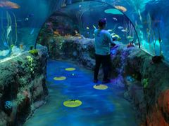 -沈阳海洋探索中心