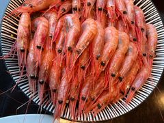 -黑松白鹿(金融街店)