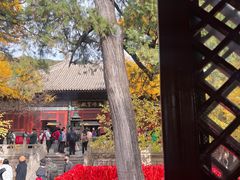 -红螺寺