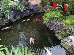 -聚福宝合苑食府(南头镇店)