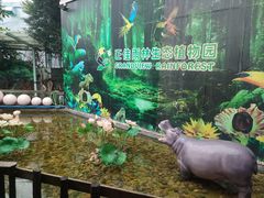 -正佳雨林生态植物园