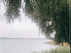 -丁香湖公园