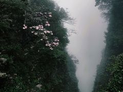 -峨眉山风景名胜区