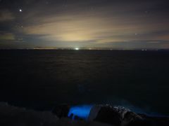 -阿军排档·烧烤