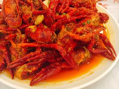 蒜蓉小龙虾-小李子油焖大虾(南浦店)