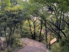 -杭州半山国家森林公园