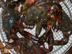 -海味当家·蒸锅海鲜(星海公园店)