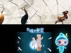 -中国湿地博物馆